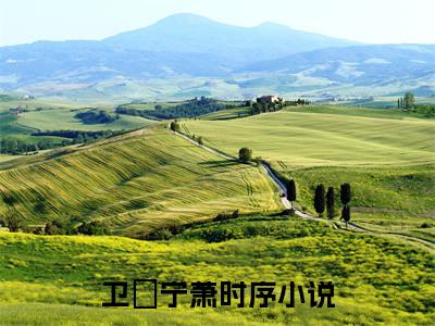 小说卫婠宁萧时序全文免费阅读无弹窗大结局-卫婠宁萧时序在线阅读