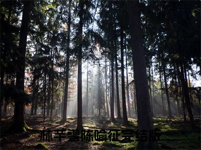 林芊雪陈喻征（林芊雪陈喻征）全文免费阅读无弹窗大结局_(林芊雪陈喻征小说免费阅读)最新章节_笔趣阁
