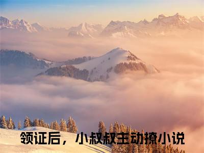初霜顾隋全文免费免费阅读无弹窗最新章节列表_笔趣阁（领证后，小叔叔主动撩全文免费）
