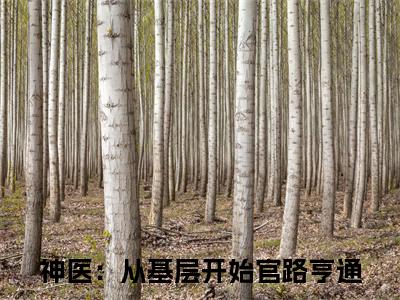 宁远孙雪霏（神医：从基层开始官路亨通）完整版小说阅读-宁远孙雪霏小说（神医：从基层开始官路亨通）精彩免费试读