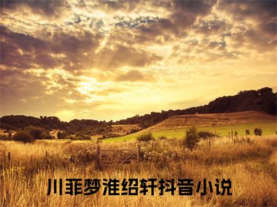 川菲梦淮绍轩小说大结局完整版阅读，川菲梦淮绍轩小说全文在线阅读
