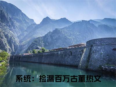 系统：捡漏百万古董（林锋陈菲）全文免费阅读无弹窗大结局_系统：捡漏百万古董最新章节列表_笔趣阁（林锋陈菲）
