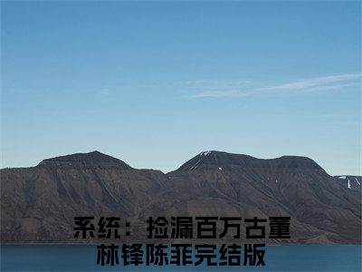 系统：捡漏百万古董（林锋陈菲）老书虫良心推荐小说-系统：捡漏百万古董（林锋陈菲）小说精彩免费试读