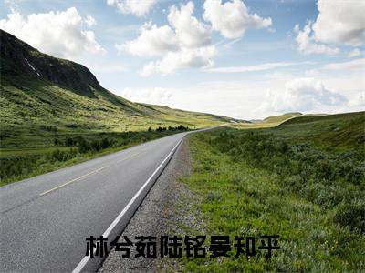 林兮茹陆铭晏全网首发最新小说主角林兮茹陆铭晏全文在线免费阅读