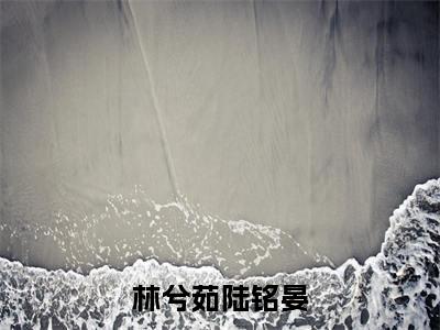 林兮茹陆铭晏小说（林兮茹陆铭晏）全文免费阅读无弹窗-林兮茹陆铭晏最新章节列表-笔趣阁