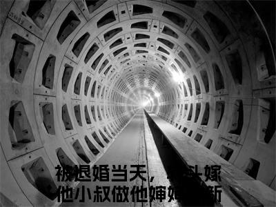 傅庭堔盛云云免费阅读（被退婚当天，转头嫁他小叔做他婶婶）完整版全文全章节阅读