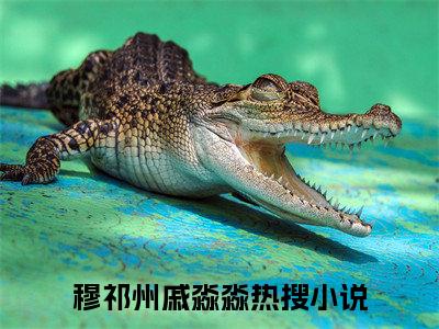 穆祁州戚淼淼小说（穆祁州戚淼淼）全文免费阅读结局-穆祁州戚淼淼全文完结版阅读