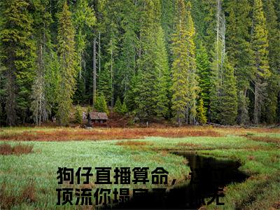 狗仔直播算命，这位顶流你塌房了萧探(狗仔直播算命，这位顶流你塌房了萧探)小说免费阅读-狗仔直播算命，这位顶流你塌房了萧探全文阅读-笔趣阁（狗仔直播算命，这位顶流你塌房了萧探）