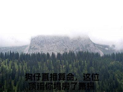 狗仔直播算命，这位顶流你塌房了萧探（狗仔直播算命，这位顶流你塌房了萧探）小说全文免费阅读无弹窗大结局_狗仔直播算命，这位顶流你塌房了萧探（狗仔直播算命，这位顶流你塌房了萧探无弹窗）最新章节列表笔趣阁（狗仔直播算命，这位顶流你塌房了萧探）