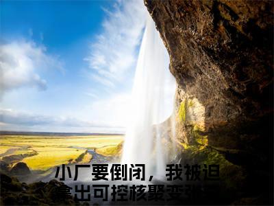 主角是小厂要倒闭，我被迫拿出可控核聚变张奇的小说-精选热门小说（小厂要倒闭，我被迫拿出可控核聚变张奇）