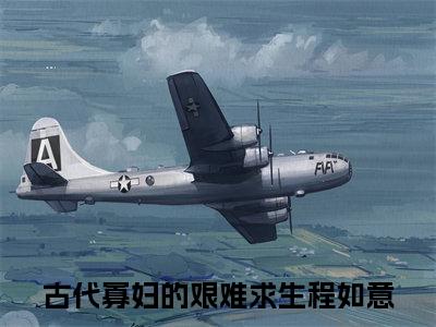 古代寡妇的艰难求生程如意（古代寡妇的艰难求生程如意）小说大结局全文免费阅读-抖音小说古代寡妇的艰难求生程如意