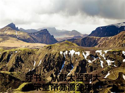 穿书：从假太监到大宋皇帝苏源在线全文免费阅读穿书：从假太监到大宋皇帝苏源是主角的小说