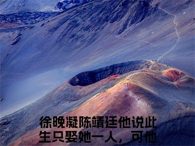 徐晚凝陈靖廷（他说此生只娶她一人，可他食言了）免费阅读_他说此生只娶她一人，可他食言了小说免费阅读-笔趣阁