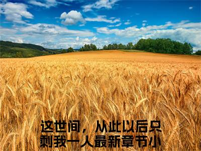 这世间，从此以后只剩我一人快手小说（沈知星段渠）txt阅读大结局-抖音近期热门这世间，从此以后只剩我一人全文免费