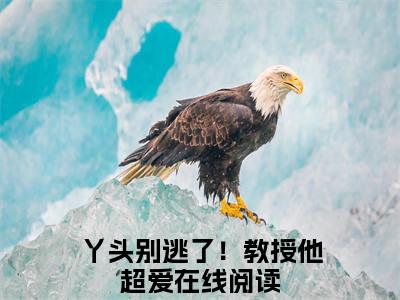 谢宴宁苏绾晚小说（丫头别逃了！教授他超爱）全文免费阅读无弹窗_谢宴宁苏绾晚小说全文免费阅读）丫头别逃了！教授他超爱最新章节列表笔趣阁