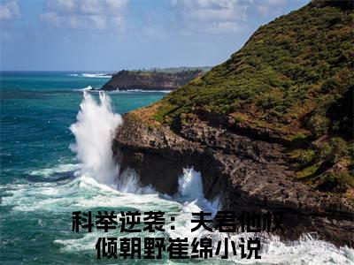 科举逆袭：夫君他权倾朝野崔绵（科举逆袭：夫君他权倾朝野崔绵）热文小说全文阅读-精彩美文科举逆袭：夫君他权倾朝野崔绵免费阅读