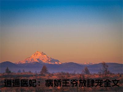 苏念音陆峻宸（逍遥医妃：病娇王爷放肆宠）全文免费完结版阅读_（逍遥医妃：病娇王爷放肆宠）苏念音陆峻宸最新章节列表笔趣阁