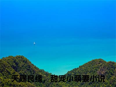 天赐良缘，甜宠小萌妻小说全文免费阅读无弹窗大结局_（沈念安陆彦森免费阅读无弹窗）最新章节列表_笔趣阁