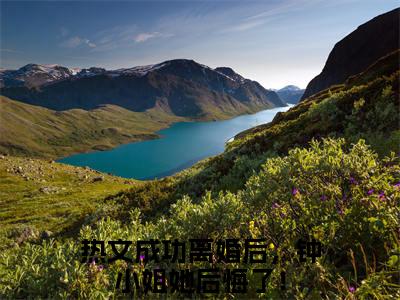 钟楚瑶林禹洲（成功离婚后，钟小姐她后悔了！）全文免费阅读无弹窗_（成功离婚后，钟小姐她后悔了！）小说最新章节列表笔趣阁