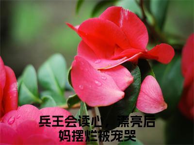 徐子矜杨胜军（兵王会读心，漂亮后妈摆烂被宠哭）全文免费阅读无弹窗大结局_（徐子矜杨胜军免费阅读）兵王会读心，漂亮后妈摆烂被宠哭无弹窗最新章节列表