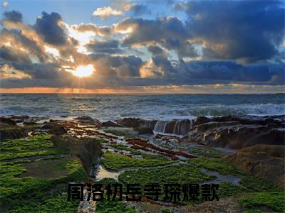 周洛初岳寺琛全文（周洛初岳寺琛）完整版小说阅读_周洛初岳寺琛全本列表免费笔趣阁（周洛初岳寺琛）