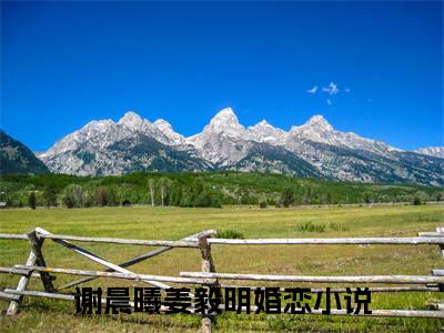 谢晨曦姜毅明（谢晨曦姜毅明）小说完整版阅读-小说谢晨曦姜毅明全文免费阅读