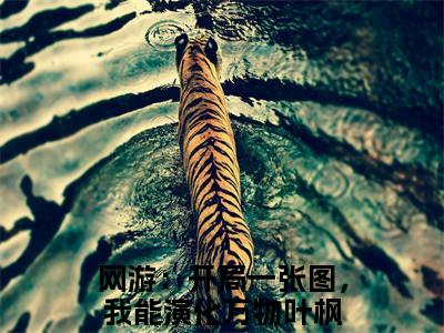 多人追的热门小说（网游：开局一张图，我能演化万物叶枫）-网游：开局一张图，我能演化万物叶枫小说最新章节免费阅读