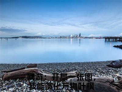 网游：开局一张图，我能演化万物叶枫（网游：开局一张图，我能演化万物叶枫）小说全文免费阅读_（网游：开局一张图，我能演化万物叶枫）小说全文无删减版在线阅读