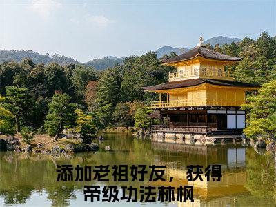 添加老祖好友，获得帝级功法林枫（添加老祖好友，获得帝级功法林枫）全文在线阅读无弹窗大结局_(添加老祖好友，获得帝级功法林枫免费阅读全文大结局)最新章节列表_笔趣阁