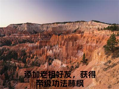 添加老祖好友，获得帝级功法林枫人气小说在线阅读，添加老祖好友，获得帝级功法林枫正版小说全文阅读