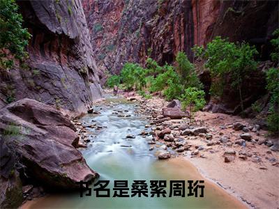 桑絮周珩后续+全文免费阅读_（桑絮周珩后续+全文免费阅读无弹窗）桑絮周珩最新章节列表笔趣阁（桑絮周珩后续+全文）