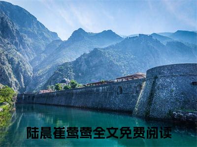 （陆晨崔莺莺番外+免费）双重生，和老婆说好要追白月光小说主角叫什么-陆晨崔莺莺全文免费阅读大结局