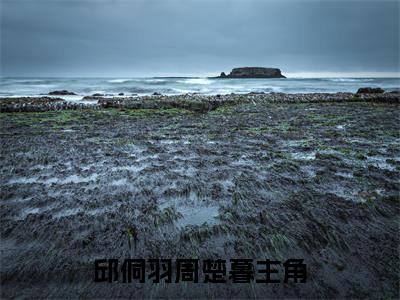 邱侗羽周楚暮精选言情小说- 邱侗羽周楚暮全文在线阅读