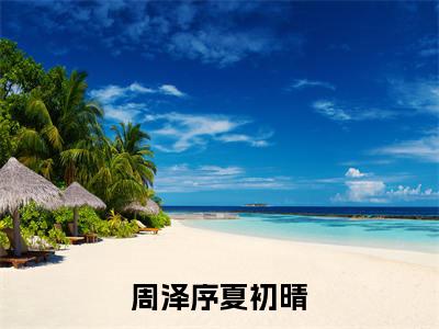 周泽序夏初晴高甜小说最新章节-周泽序夏初晴全文阅读