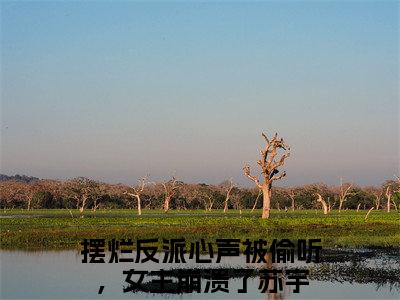 摆烂反派心声被偷听，女主崩溃了苏宇首发小说 摆烂反派心声被偷听，女主崩溃了苏宇在线阅读