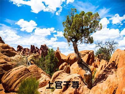 【新书】真千金黑化后，疯批王爷宠上天全文全章节免费阅读-上官千荨小说免费阅读无弹窗最新章节列表