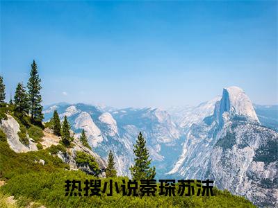 全网热搜（秦琛苏沫）是什么小说_秦琛苏沫小说（秦琛苏沫）热门章节阅读无弹窗_笔趣阁