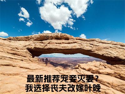 新上热文宠妾灭妻？我选择丧夫改嫁叶晚萧-宠妾灭妻？我选择丧夫改嫁叶晚萧在线阅读的小说完整版