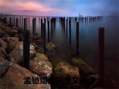 孟驰熠尤枝（孟驰熠尤枝）无广告免费阅读-孟驰熠尤枝小说最后结局如何