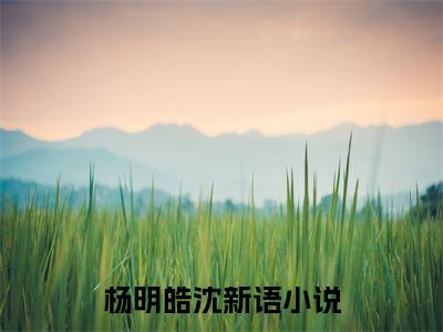 杨明皓沈新语小说免费阅读全文在线阅读，杨明皓沈新语的小说在线阅读全文