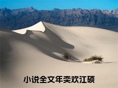 年奕欢江硕全集小说（年奕欢江硕）全文免费阅读无弹窗大结局_年奕欢江硕最新章节列表_笔趣阁（年奕欢江硕）