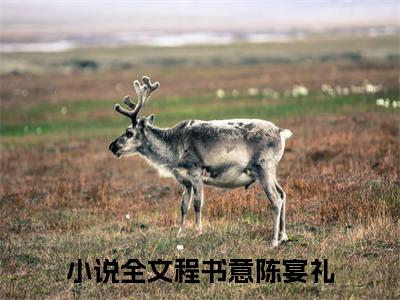 程书意陈宴礼小说(程书意陈宴礼)全文免费阅读无弹窗大结局_程书意陈宴礼小说免费阅读无弹窗最新章节列表_笔趣阁