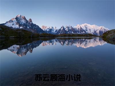苏云顾海全文免费阅读无弹窗大结局-苏云顾海全文在线阅读最新章节列表_笔趣阁