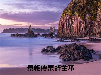 景稚傅京辞小说免费阅读无弹窗《景稚傅京辞》_景稚傅京辞全文阅读