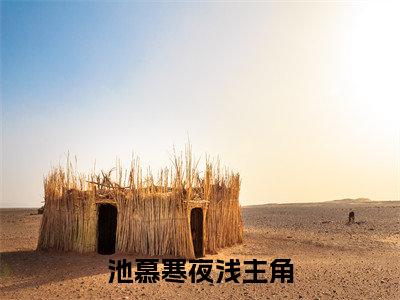 后悔了吗？再给你一次机会（池慕寒夜浅）全文免费阅读无弹窗大结局_后悔了吗？再给你一次机会（池慕寒夜浅免费小说）最新章节列表笔趣阁