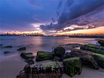 谢哲礼秦木蓝免费阅读无弹窗 谢哲礼秦木蓝最新章节