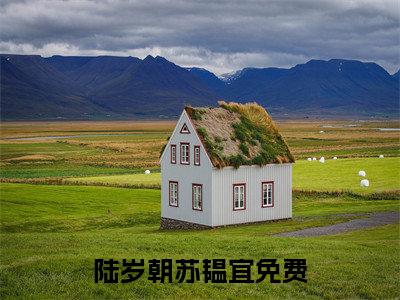陆岁朝苏韫宜（陆岁朝苏韫宜）全文免费阅读无弹窗大结局_(陆岁朝苏韫宜小说免费阅读)_笔趣阁