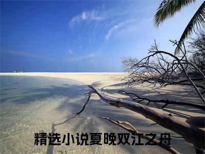 男女主人公夏晚双江之舟小说夏晚双江之舟全文免费阅读