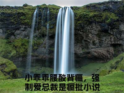 孟霁陆野（小乖乖腰酸背痛，强制爱总裁是疯批）全文免费阅读无弹窗_孟霁陆野最新小说_笔趣阁