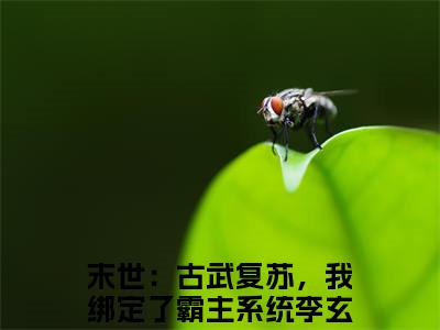 李玄（末世：古武复苏，我绑定了霸主系统小说）在线阅读全文-末世：古武复苏，我绑定了霸主系统小说免费阅读完结版全文